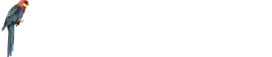 HD Graphisme | Graphiste à Rennes