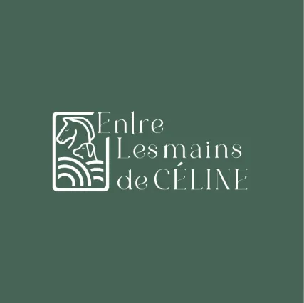 Création de logo à Rennes avec HD Graphisme, Rennes, HD Graphisme
