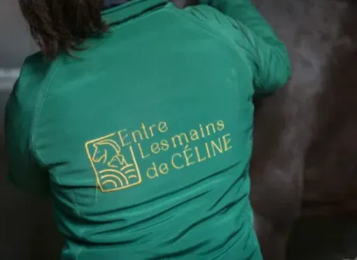 Création de logo à Nantes avec HD Graphisme, Rennes, HD Graphisme