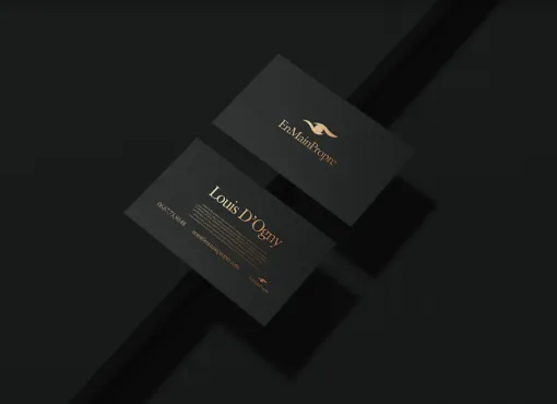 Logo et de cartes de visite à Rennes avec HD Graphisme, Rennes, HD Graphisme