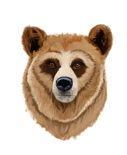 Illustrations animalières sur-mesure à Rennes, Rennes, HD Graphisme