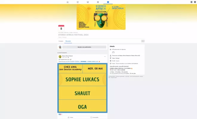 Participation à l'événement "Stéréo Africa", Rennes, HD Graphisme