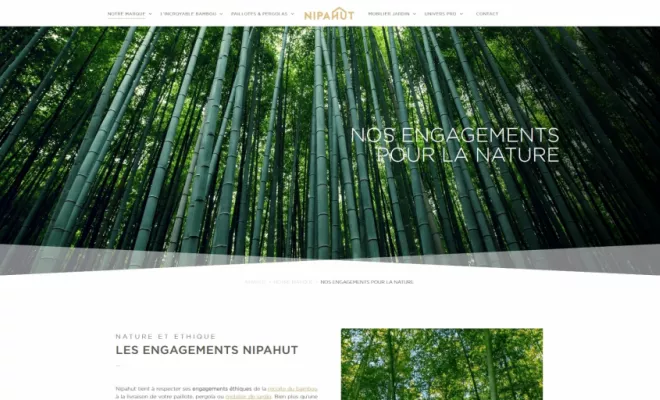 Clone of Création d'un site internet pour "Nipahut", Rennes, HD Graphisme
