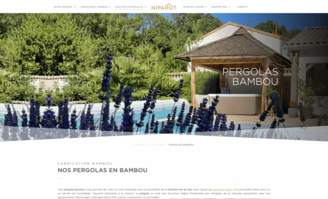Clone of Création d'un site internet pour "Nipahut", Rennes, HD Graphisme